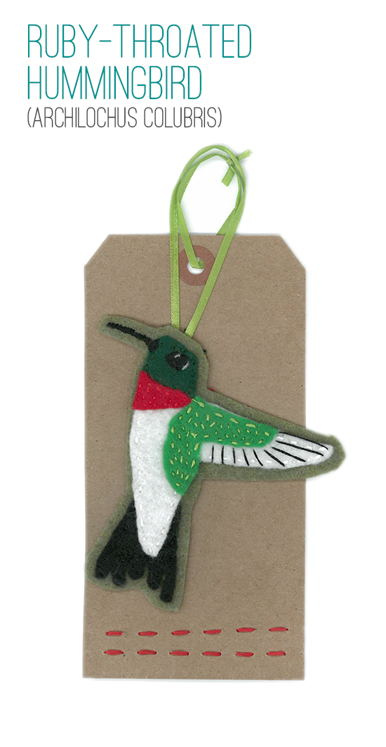 Ruby-throated Hummingbird