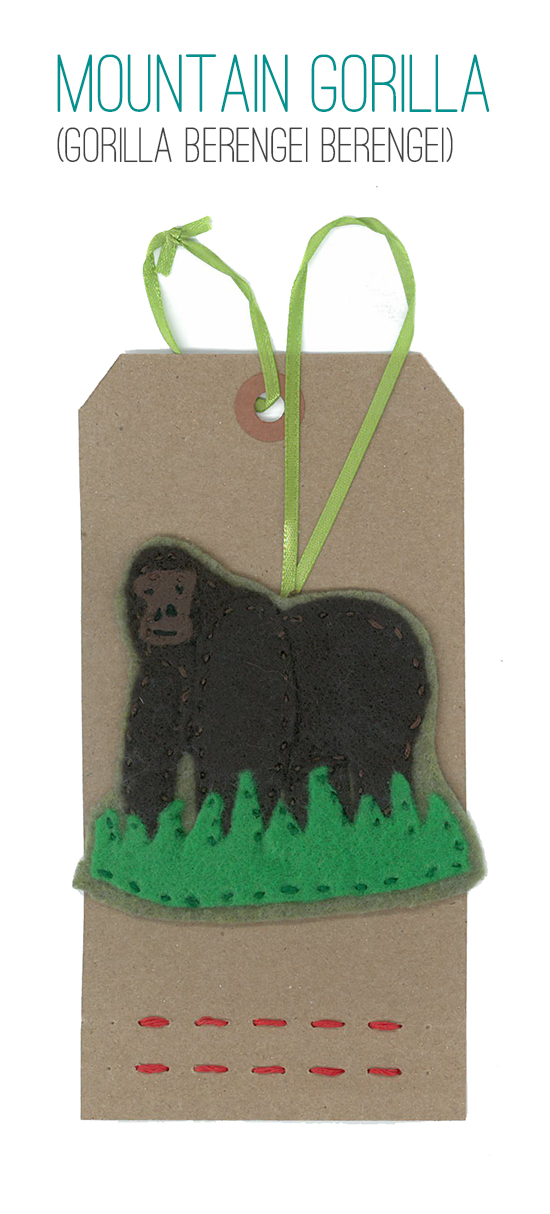 Mountain Gorilla