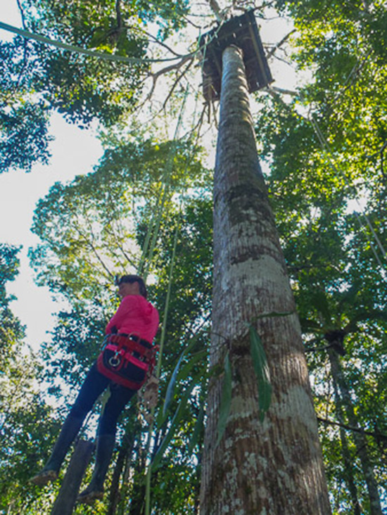 Zipline