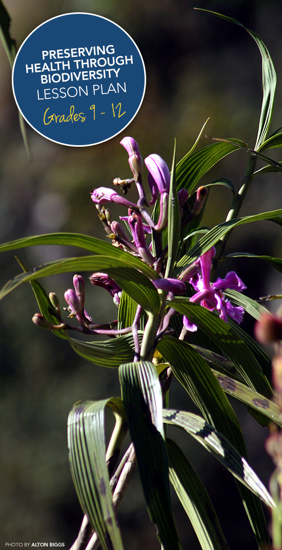 Preserving health through biodiversity