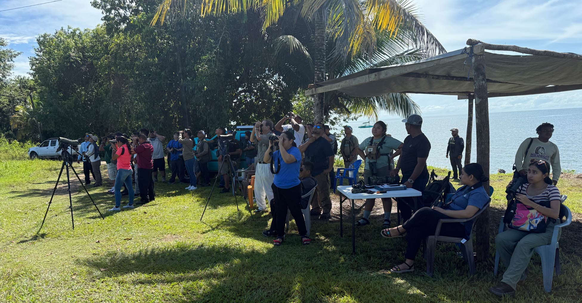 Large group of people gather for birding