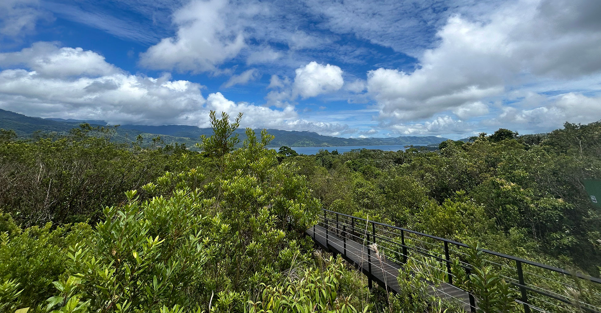 An elevated walkway surrounded by low trees and shrubs with a lake in far background and blue sky with puffy clouds