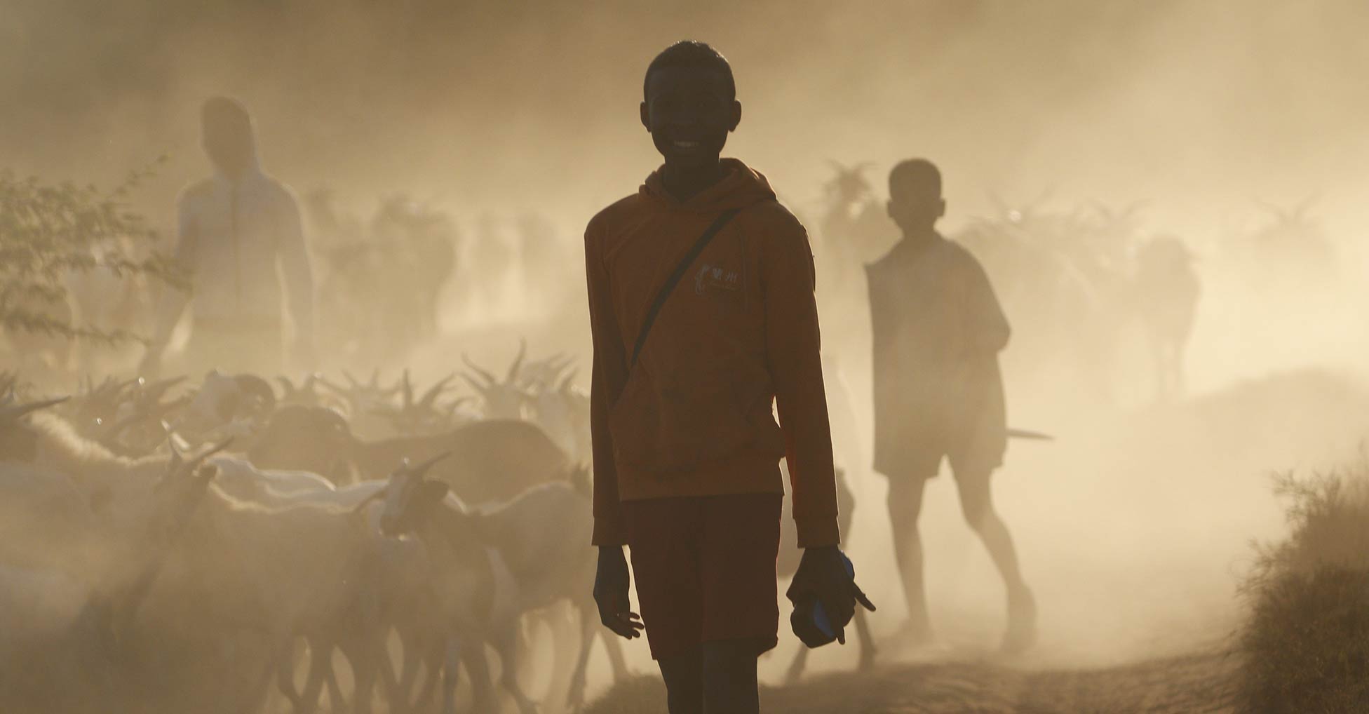 A person walks on a dusty dirt road with a herd of goats in the background