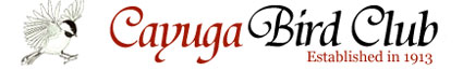 Cayuga Bird Club logo