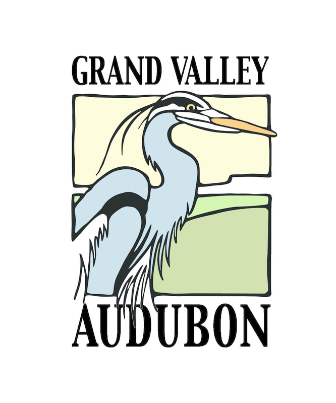 Grand Valley Audubon logo.