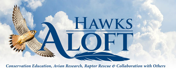 Hawks Aloft logo