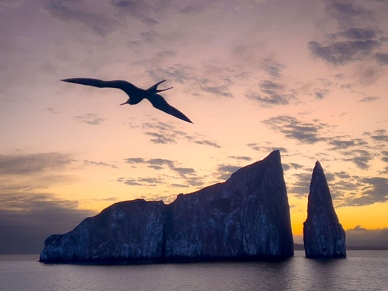 A rock formation jutting up from the ocean and a frigatebird in flight are silhouetted against a sunset