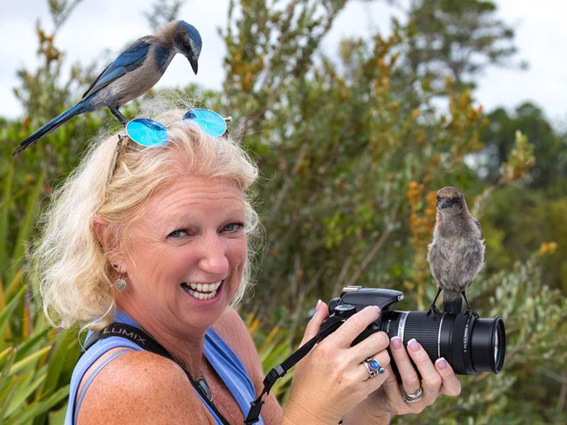 Mindy Lighthipe holds a camera while two Florida Scrub-Jays perch on her head and camera