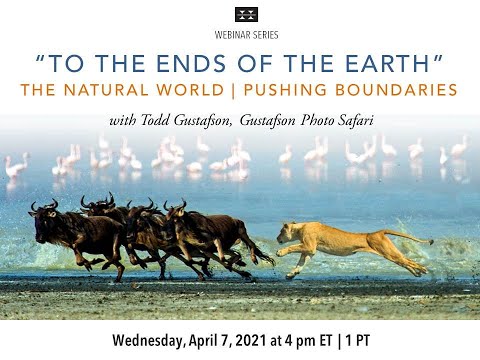 Preview image for the video "&quot;The Natural World - Pushing Boundaries&quot; with Todd Gustafson".