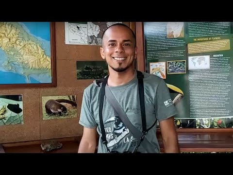 Preview image for the video "Virtual Rainforest Hike with Iván Castillo".