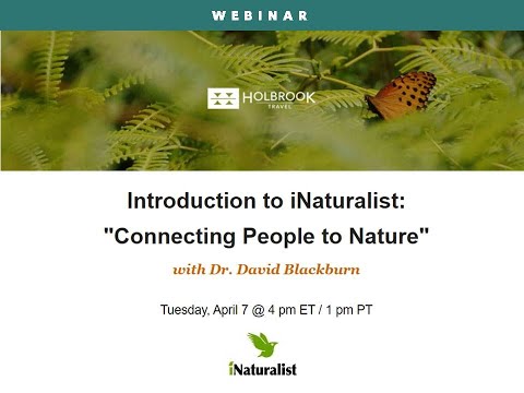 Preview image for the video "Introduction to iNaturalist: "Connecting People to Nature" with Dr. David Blackburn".
