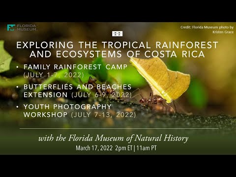 Preview image for the video "Summer Travel Opportunities for Families: Exploring the Tropical Rainforest &amp; Costa Rican Ecosystems".