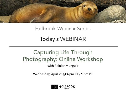 Preview image for the video "Capturing Life: Photography Virtual Workshop with Reinier Munguia".