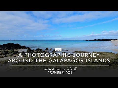 Preview image for the video "A Photographic Journey around the Galápagos with KS Nature Photography".