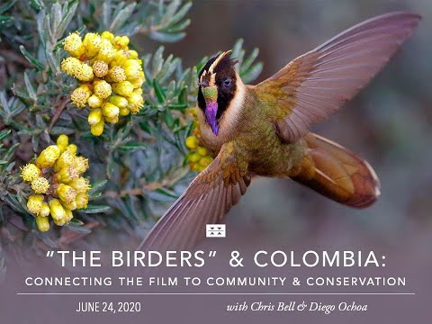 Preview image for the video ""The Birders" and Colombia: Connecting the Film Series to Community and Conservation".