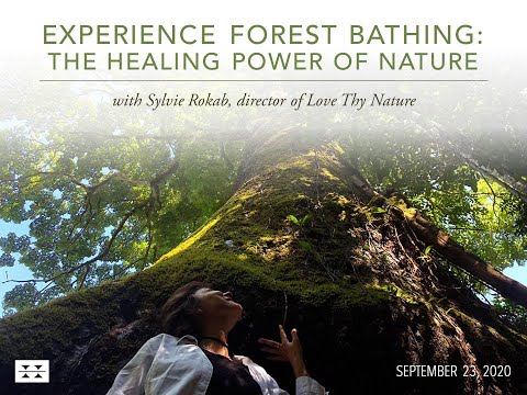 Preview image for the video "Experience Forest Bathing: The Healing Power of Nature with Sylvie Rokab".