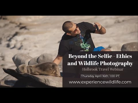 Preview image for the video "Beyond the Selfie: Ethics in Wildlife Photography with Jennifer Leigh Warner".