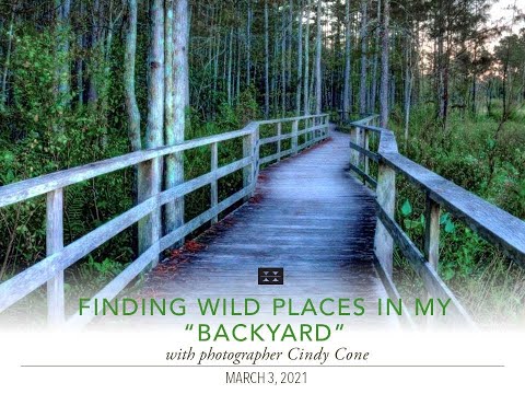 Preview image for the video "Finding Wild Places in My &quot;Backyard&quot; with photographer Cindy Cone".