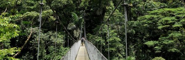 Arenal hanging bridge