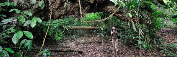Hiking in the Sarapiquí rainforest