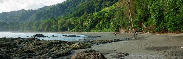 Corcovado National Park