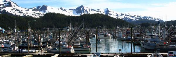 Cordova harbor