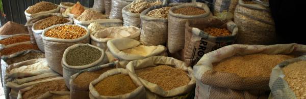 Photo by Alton Biggs