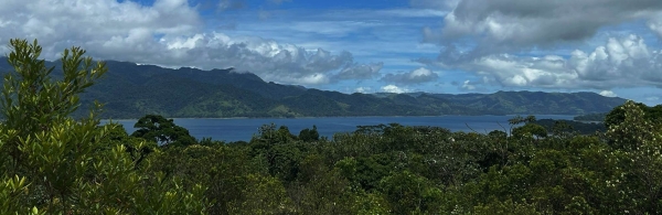 Scenery at Lake Arenal