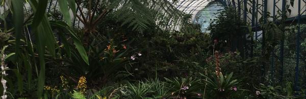 Quito Botanical Garden