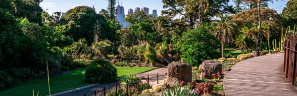 Royal Botanic Gardens, Melbourne