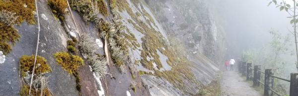 Path in Yanacocha Reserve