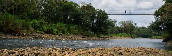 Suspension bridge over the Sarapiquí River
