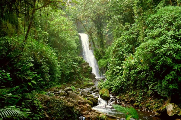 Waterfall in the forest