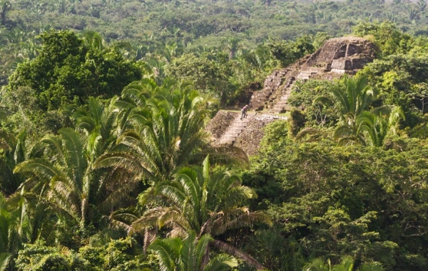 A person climbs the steps of a limestone Maya pyramid partially shrouded by rainforest