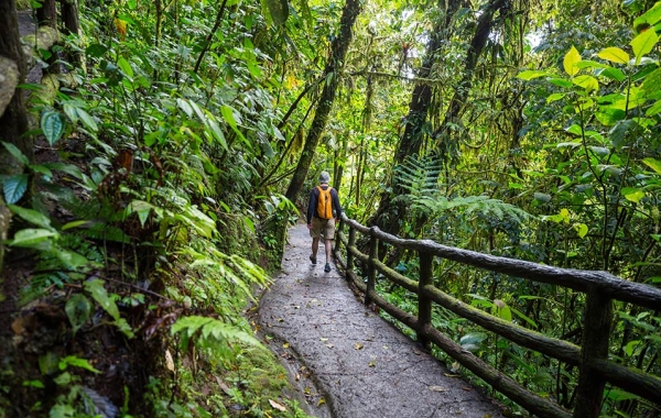 Person hiking on paved trail with a guardrail on the right and trees and vegetation on both sides