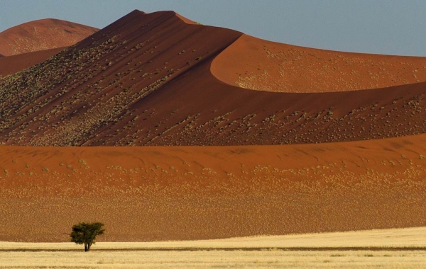 A sand dune, several hundred feet high, towers over a flat landscape with a single tree