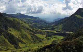 Valle de Cocora