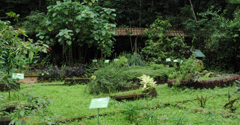 Selva Verde Lodge Botanical Garden