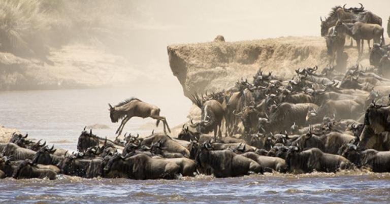 Great Migration