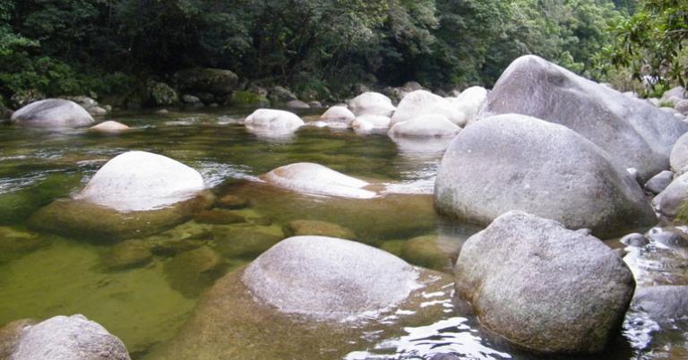Daintree River valley