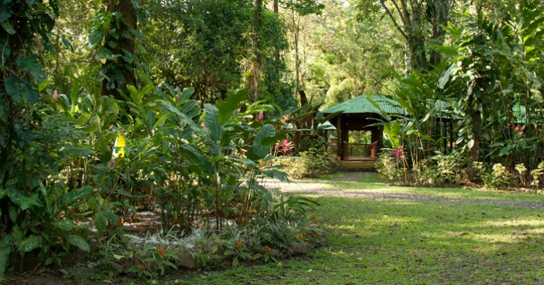Selva Verde Lodge gardens