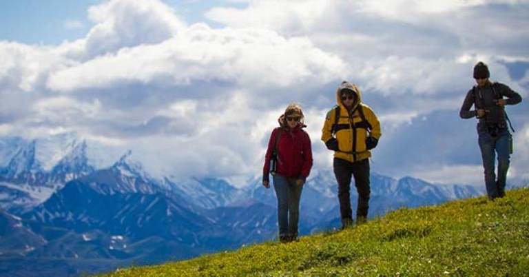 Hikers 