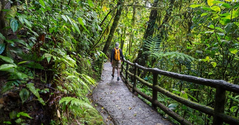 Person hiking on paved trail with a guardrail on the right and trees and vegetation on both sides
