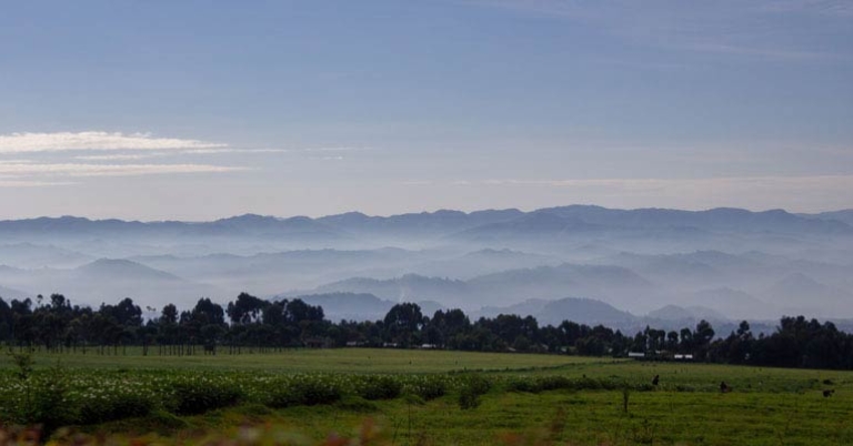 landscape view of grass, trees, and mountains in the distance