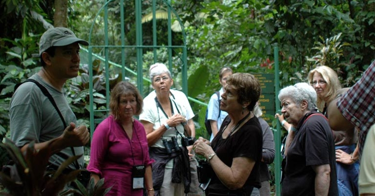 A group of adults listens to a guide talking in the rainforest