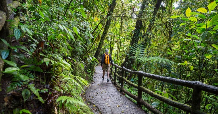 Person hiking on paved trail with a guardrail on the right and trees and vegetation on both sides