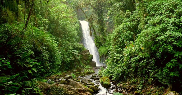 Waterfall in the forest