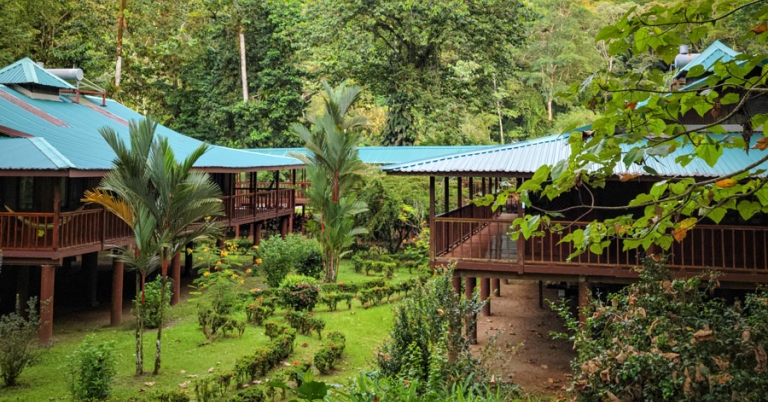 Two elevated buildings with wooden walkways surrounded by trees and other vegetation