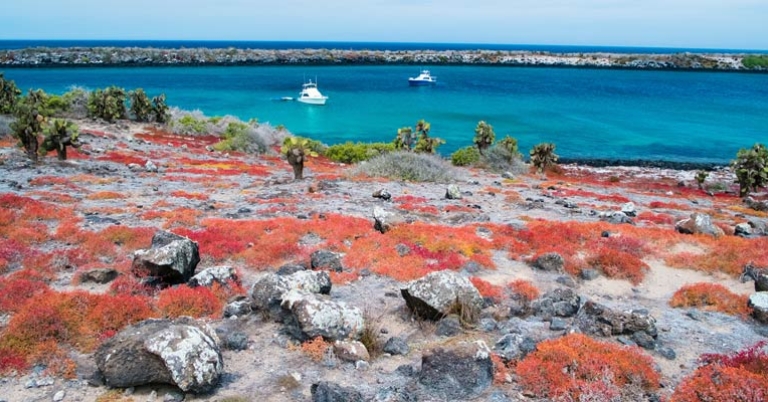 A landscape view of beach with two boats in the distance