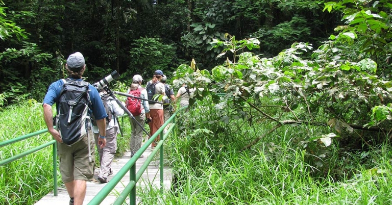 A group of people on a wooden walkway with high grass and forest on both sides